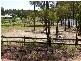 37 Cnr Oakey Creek Road And Mount View Road, Pokolbin NSW 2320