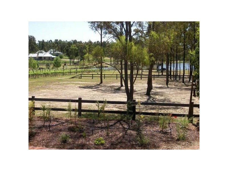 37 Cnr Oakey Creek Road And Mount View Road, Pokolbin NSW 2320