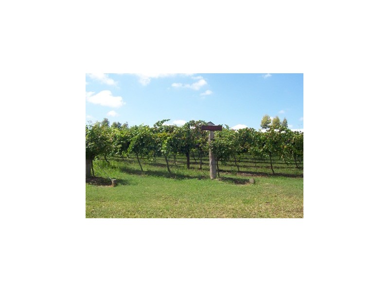 37 Cnr Oakey Creek Road And Mount View Road, Pokolbin NSW 2320