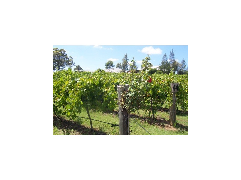 37 Cnr Oakey Creek Road And Mount View Road, Pokolbin NSW 2320
