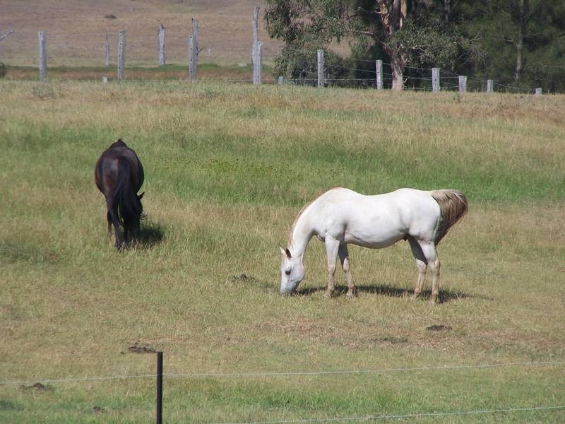 4 Avery’s Lane, Heddon Greta NSW 2321