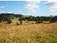 Lot 382 Sandy Creek Road, Mulbring NSW 2323
