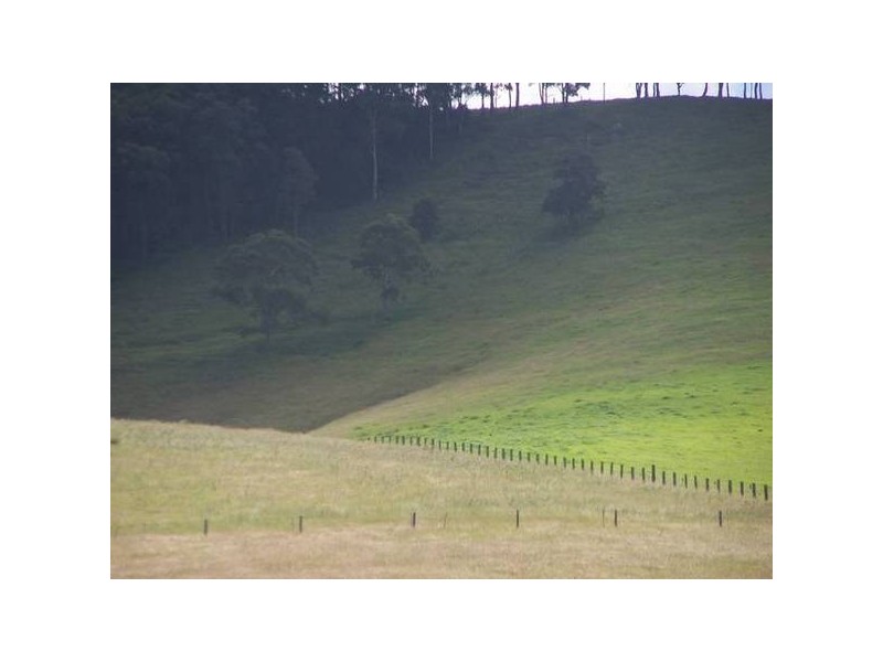 392 Sandy Creek Road, Mulbring NSW 2323