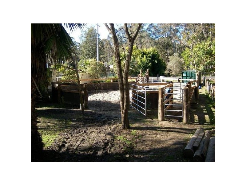 16 Ellalong Road, Pelton NSW 2325