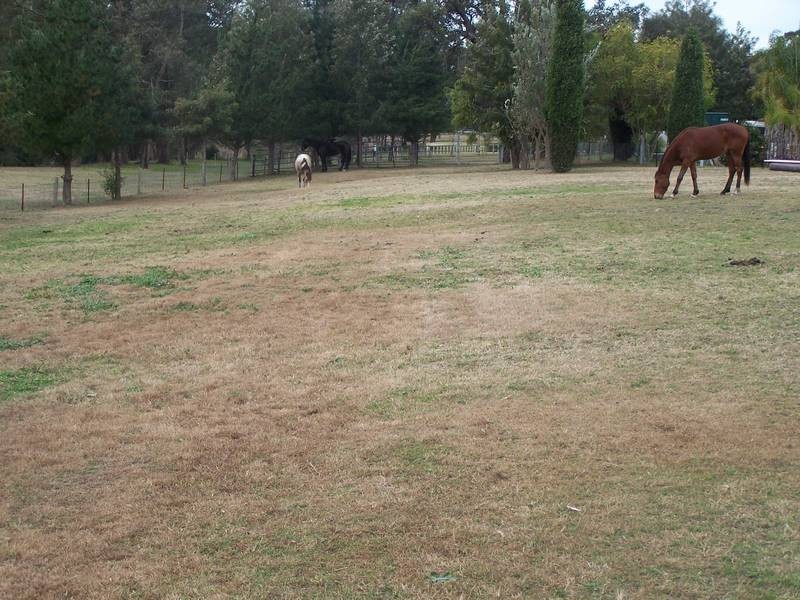65 Weston Street, Weston NSW 2326