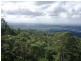 Tamborine Mountain QLD 4272
