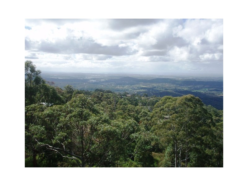 Tamborine Mountain QLD 4272