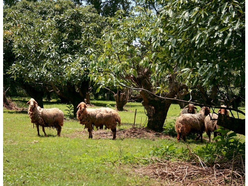 93-97 Beacon Road, North Tamborine QLD 4272