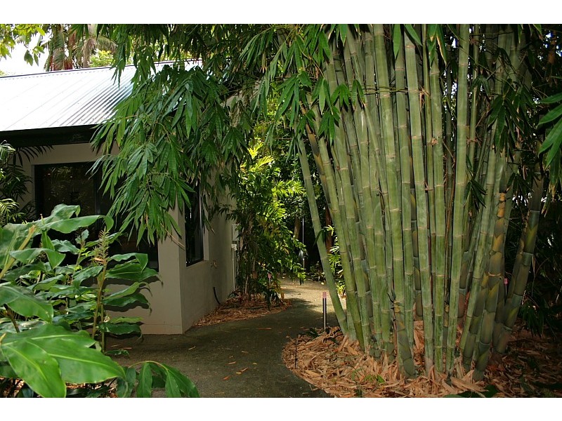 93-97 Beacon Road, North Tamborine QLD 4272