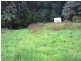 Eagle Heights QLD 4271