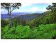 Eagle Heights QLD 4271
