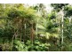 Eagle Heights QLD 4271
