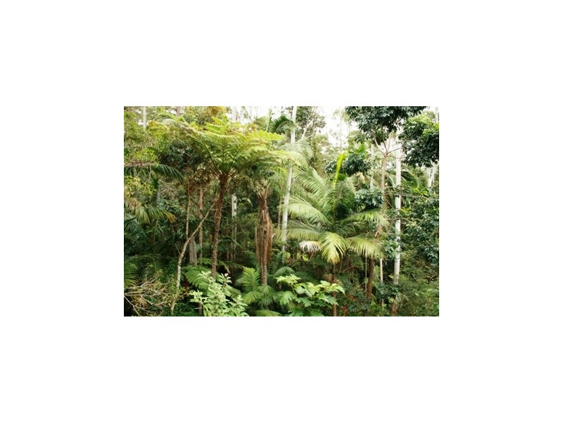 Eagle Heights QLD 4271