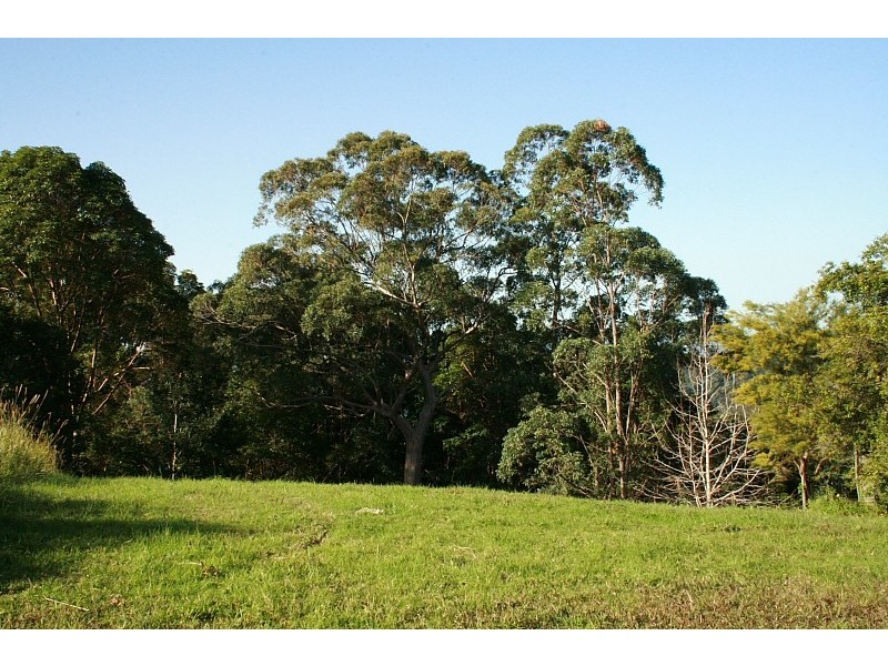 North Tamborine QLD 4272