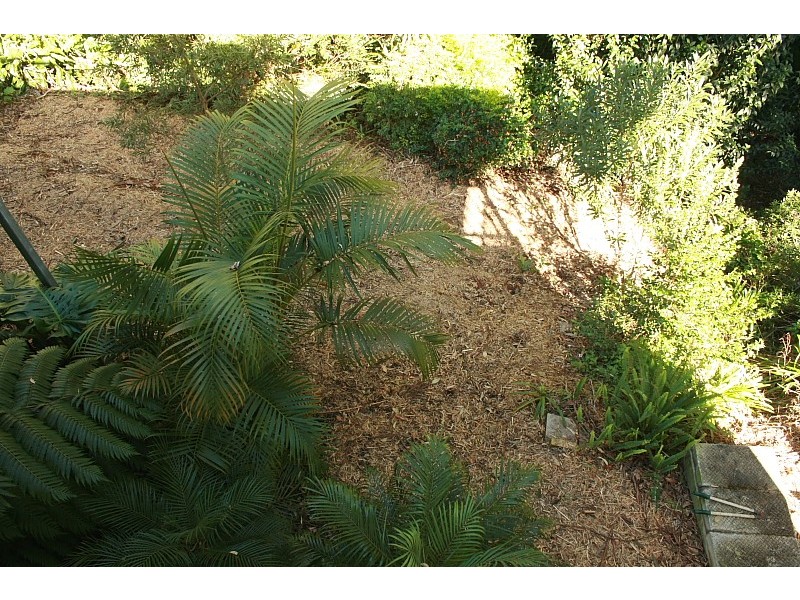 Eagle Heights QLD 4271