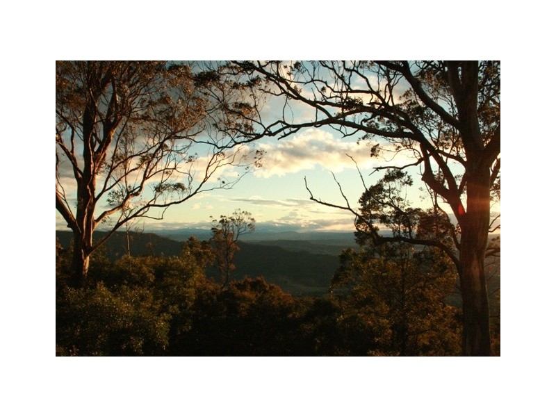 Tamborine Mountain QLD 4272