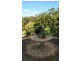 Eagle Heights QLD 4271