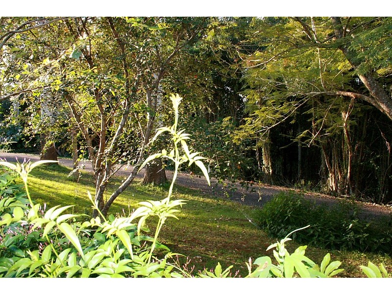 Eagle Heights QLD 4271