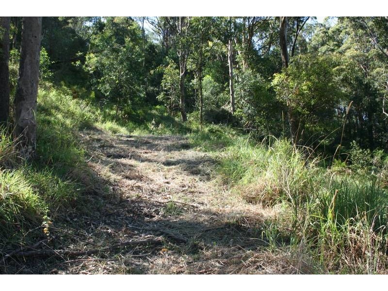 583 Henri Robert Drive, Tamborine Mountain QLD 4272