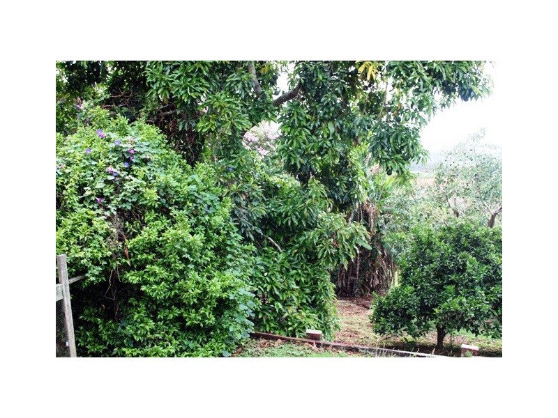 Eagle Heights QLD 4271