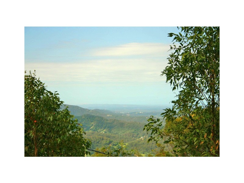 264 Guanaba Road, Tamborine Mountain QLD 4272