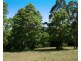 61 Magnetic Drive, Eagle Heights QLD 4271