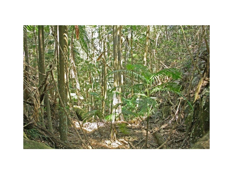 3 Orchis, Eagle Heights QLD 4271