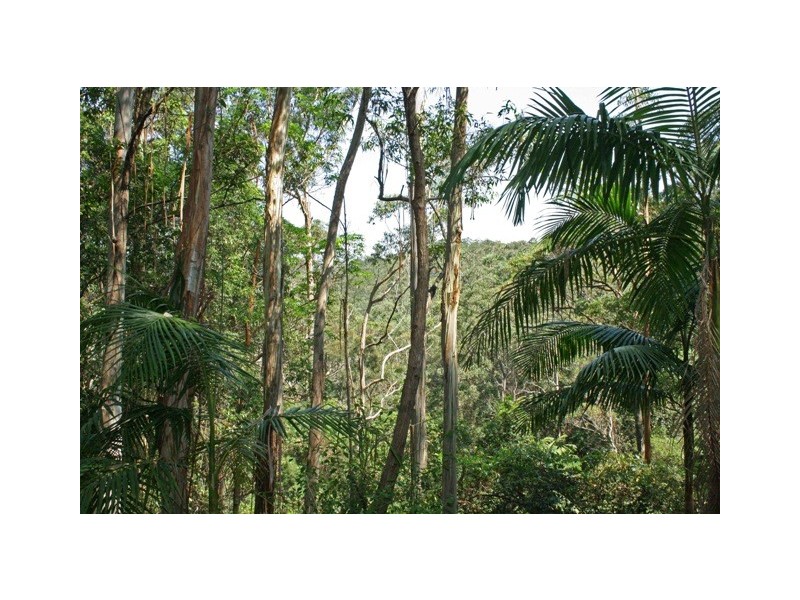 3 Orchis, Eagle Heights QLD 4271