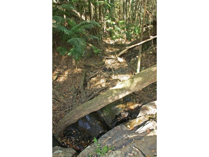 3 Orchis, Eagle Heights QLD 4271