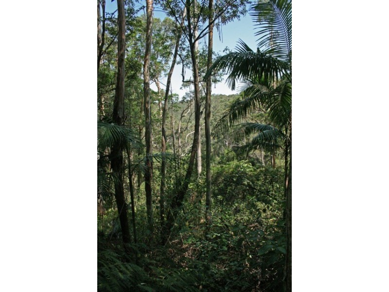 3 Orchis, Eagle Heights QLD 4271