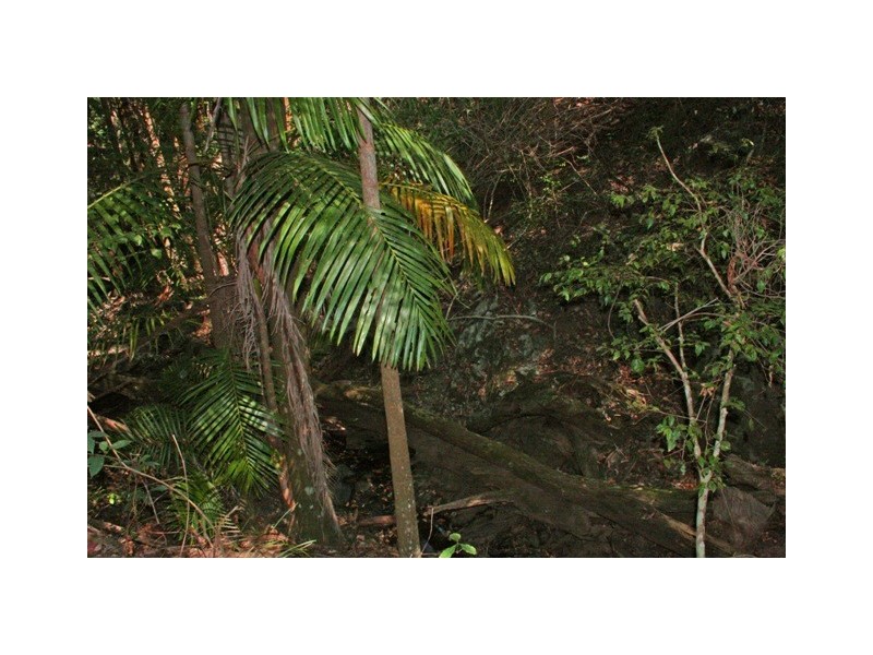 3 Orchis, Eagle Heights QLD 4271