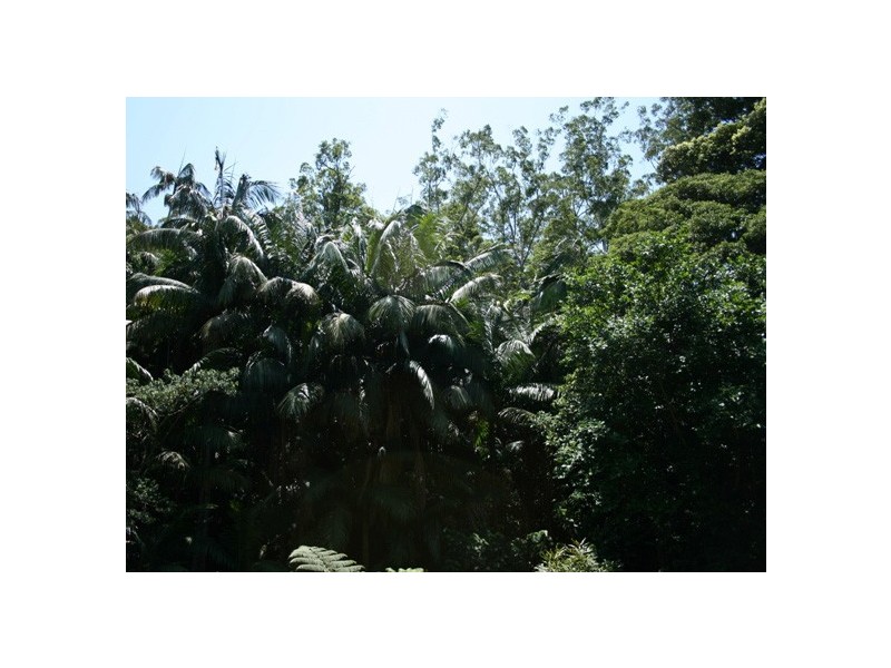 30 Long Road, Eagle Heights QLD 4271