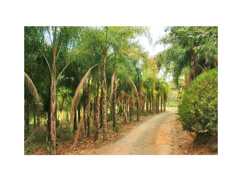 265 Tamborine Mountain Road, Tamborine QLD 4270