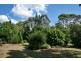 North Tamborine QLD 4272
