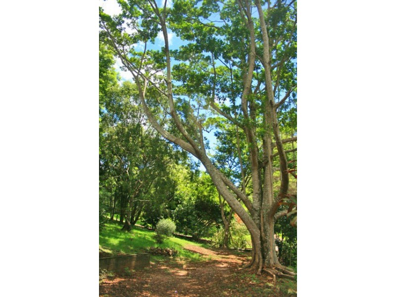 North Tamborine QLD 4272