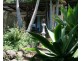 Eagle Heights QLD 4271