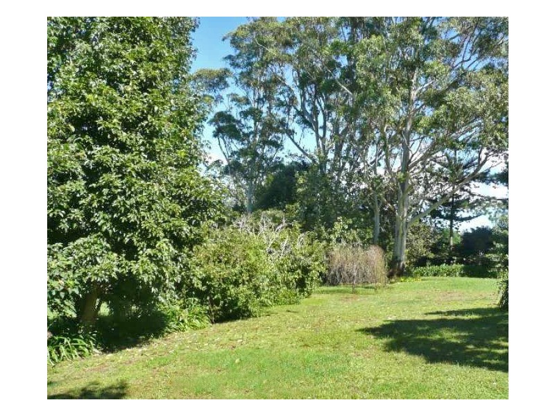 Tamborine Mountain QLD 4272