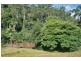 Eagle Heights QLD 4271