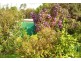 Eagle Heights QLD 4271