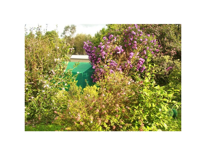 Eagle Heights QLD 4271