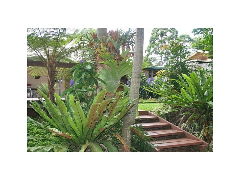 52 MacDonnell Road, Eagle Heights QLD 4271