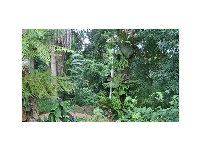 52 MacDonnell Road, Eagle Heights QLD 4271