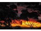 North Tamborine QLD 4272