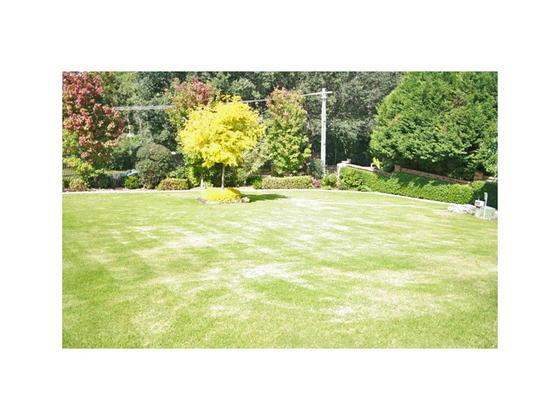 North Tamborine QLD 4272