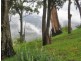 North Tamborine QLD 4272