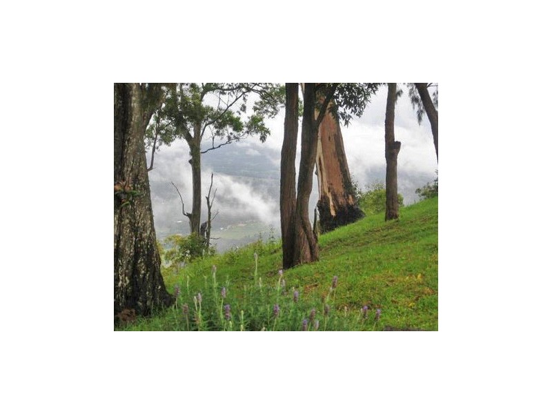 North Tamborine QLD 4272