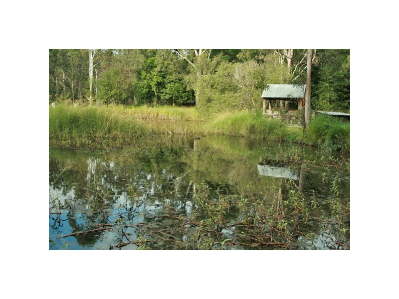 45 Murray Grey Drive, Tamborine QLD 4270