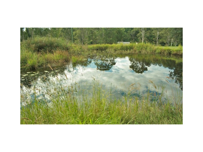 45 Murray Grey Drive, Tamborine QLD 4270