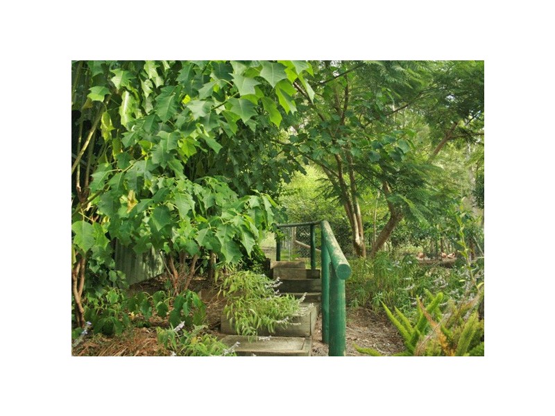 45 Murray Grey Drive, Tamborine QLD 4270