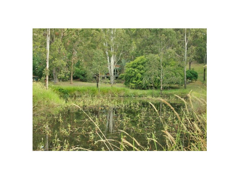 45 Murray Grey Drive, Tamborine QLD 4270